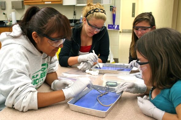 Dissecting earthworms in Fugate