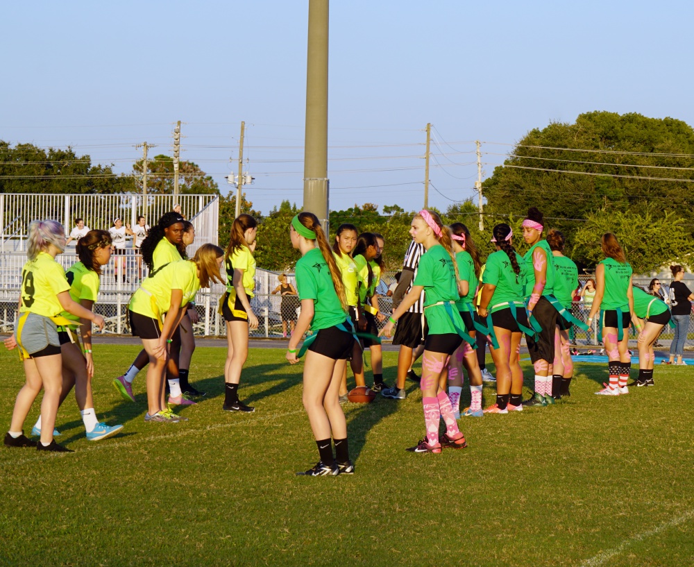 Powderpuff video