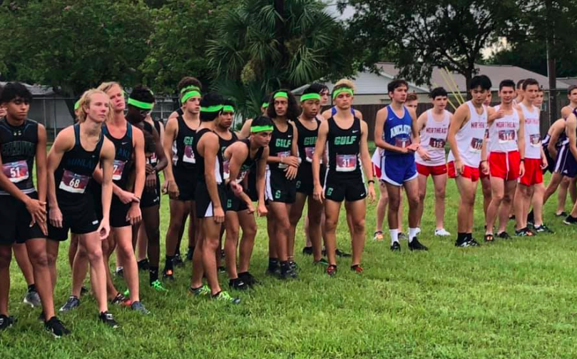 Cross Country Teams Begin Season on High Note